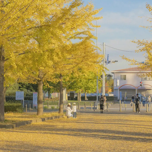性感最刺激的阿姨黄色网
