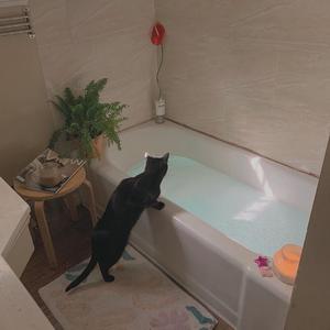 性感最刺激的阿姨黄色网
