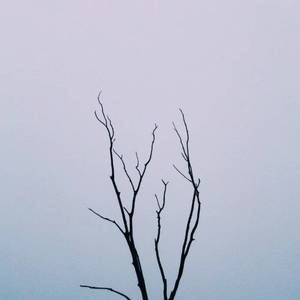 性感最刺激的阿姨黄色网
